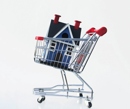 A house in a shopping cart